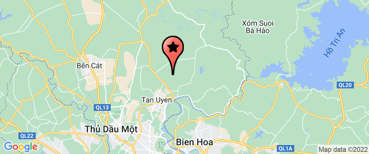 Map go to Cho Thue Luu Tru Nguyen Thi Mang Company Limited