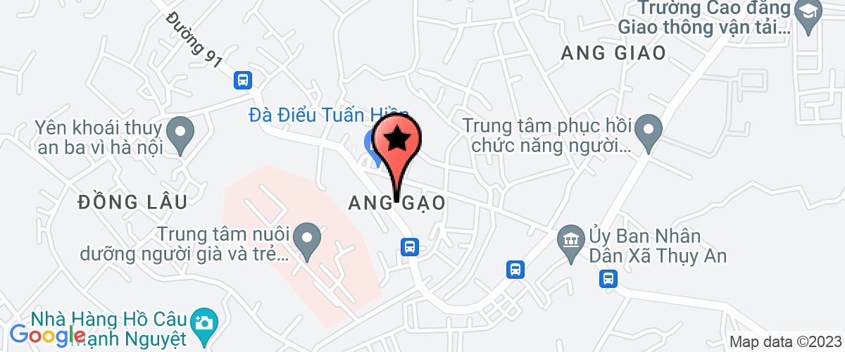 Map go to hoi phuc chuc nang tre tan tat Thuy An Center