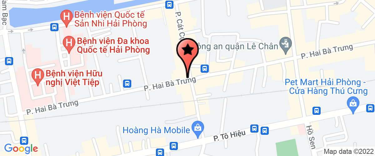 Map go to Tai Nang VietNam Development Investment Company Limited