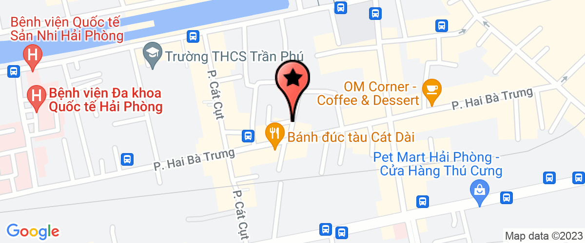 Map go to Chuyen Phat Nhanh Hop Nhat Hai Phong Service Company Limited