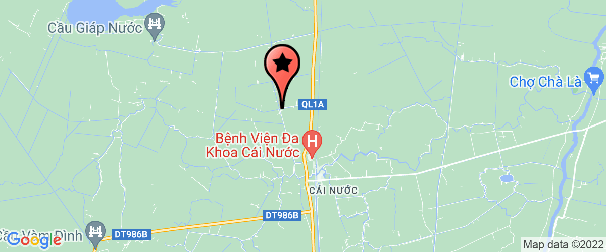 Map go to Doi thue so 1 phu trach xa Tan Hung Dong